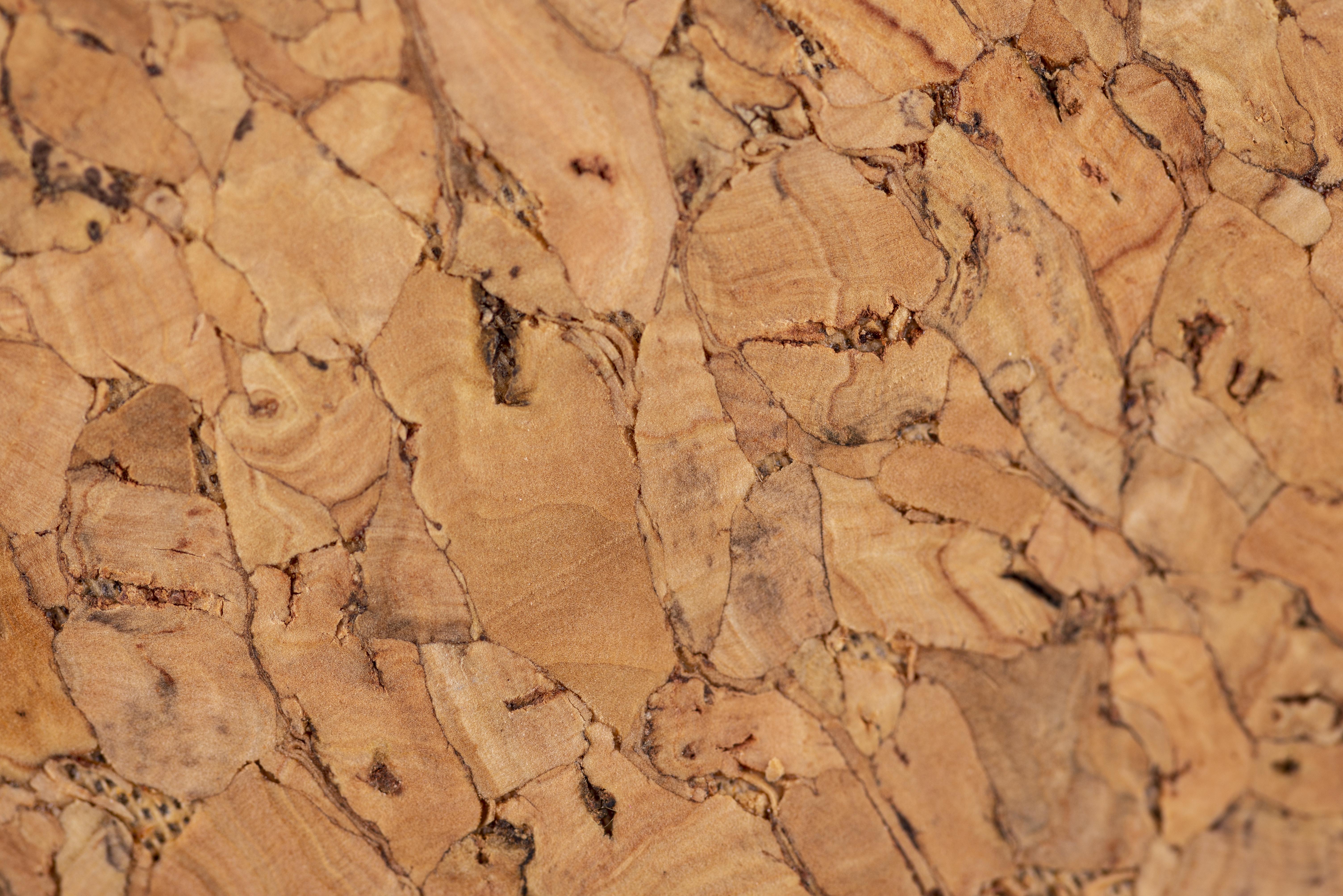 Corkwood Co.